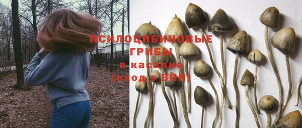 PSILOCYBIN Володарск